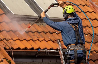 Démoussage et hydrofuge de toiture à Bisel